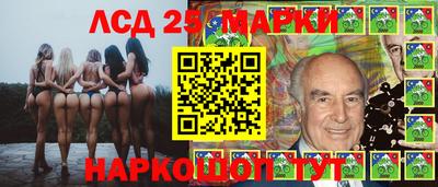 гидра Славгород