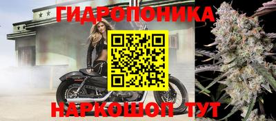 стафф Сланцы
